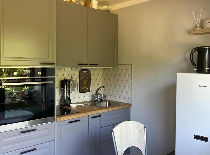 Oja 134 Апартаменты Пярну